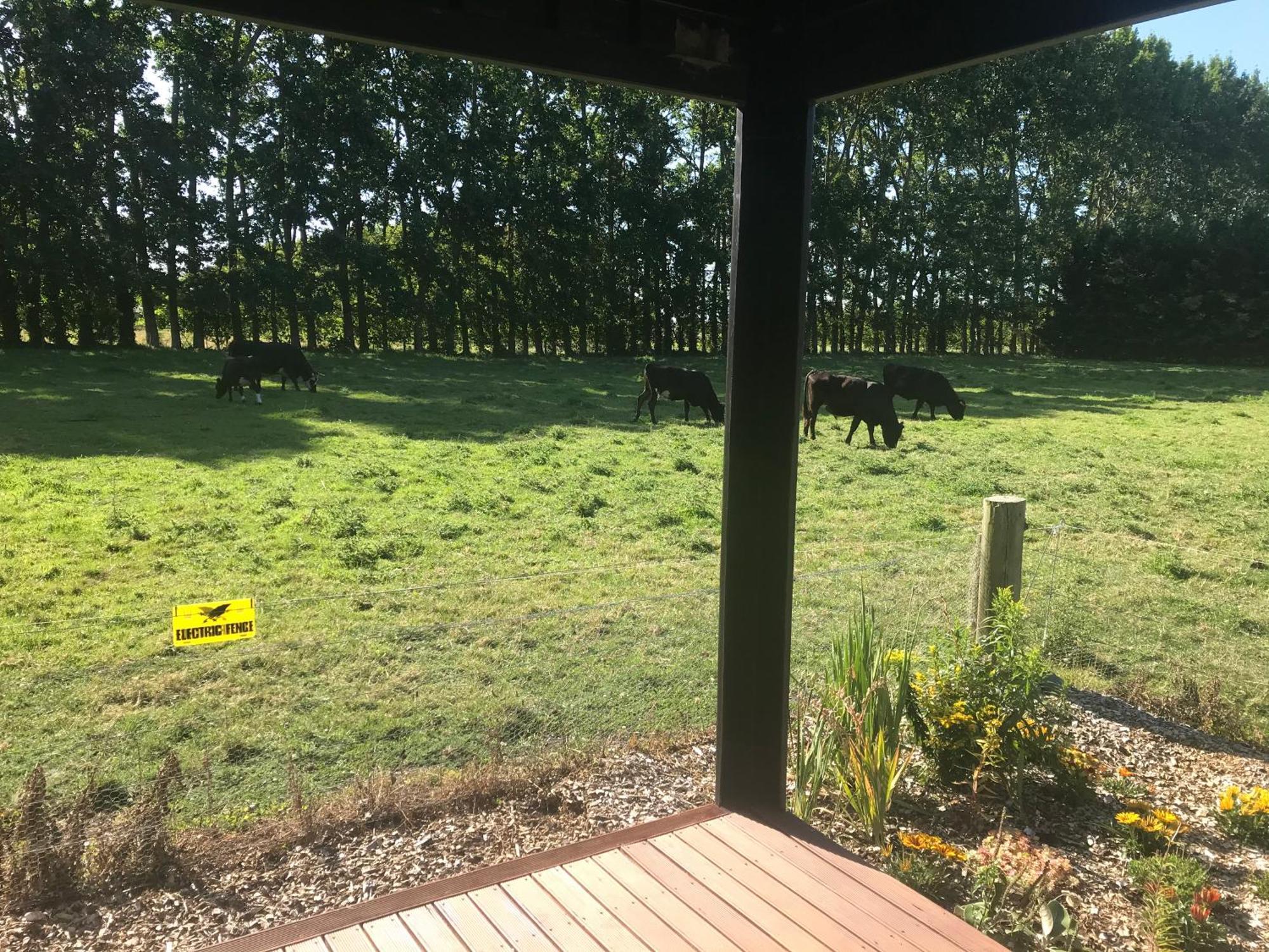Leeston Brookside Country Escape 40 Minutes To Chc Airport酒店 外观 照片
